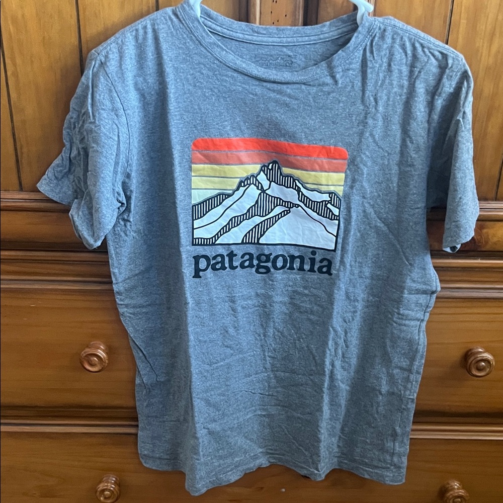 Patagonia Gray T-Shirt with Mountain Graphic